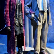 Costumes - Nymphadora Tonks and Remus Lupin