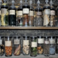 Props - potions ingredients in Snape's classroom