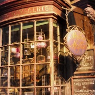 Set details - shop front of the magical menagerie in Diagon alley